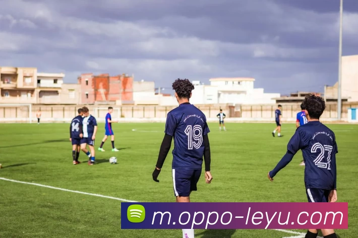 多媒体互动体验