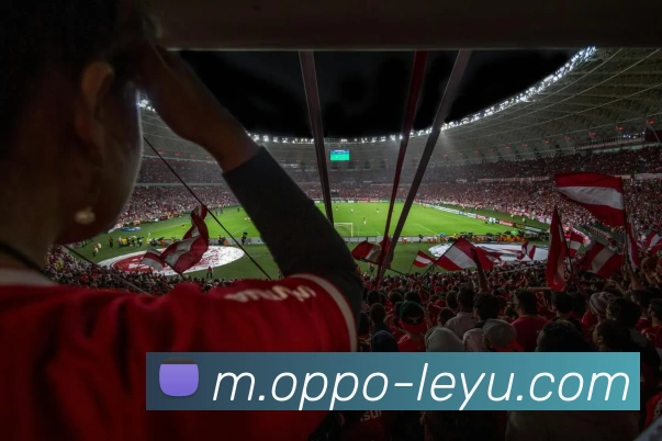 乐鱼体育APP 体育赛事宣传图